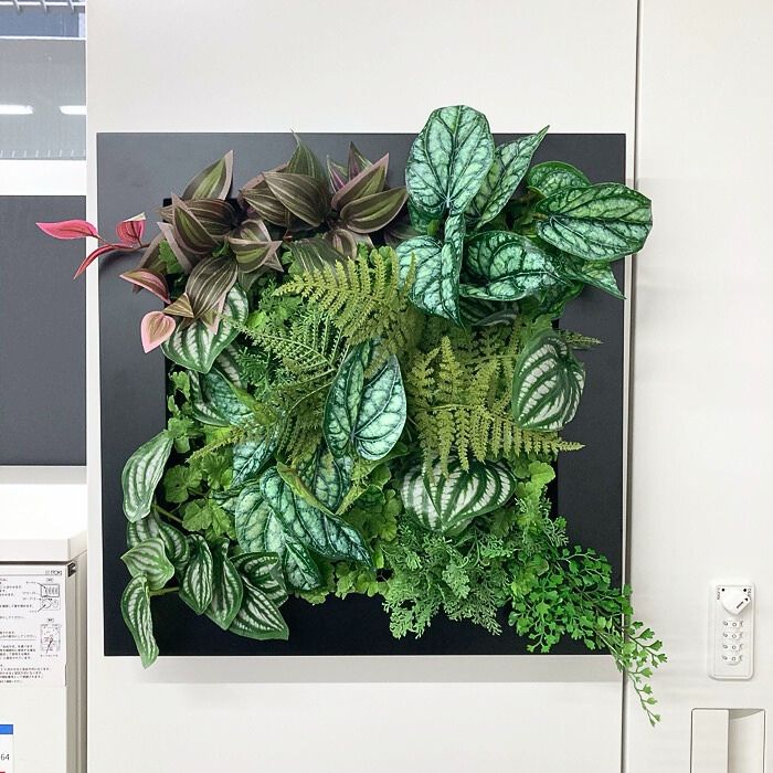 フェイクグリーン 壁掛け用 マグネットタイプ 中古